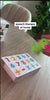 A child taps the dinosaur reader on a flash card and it reads the word out loud
